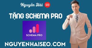 Sở hữu bản quyền Schema Pro miễn phí tại NguyenHaiSEO